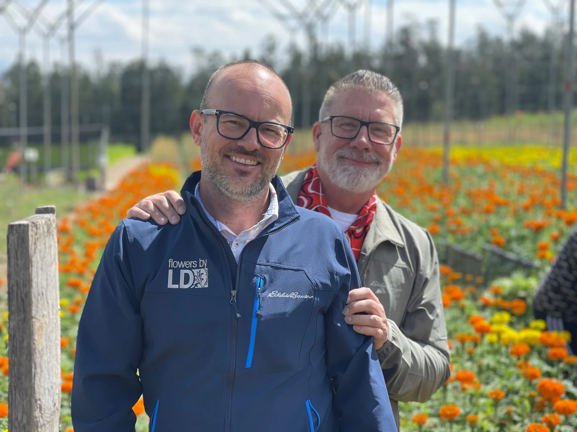 Flowers by LD visiting a flower farm with rows of bright orange blooms