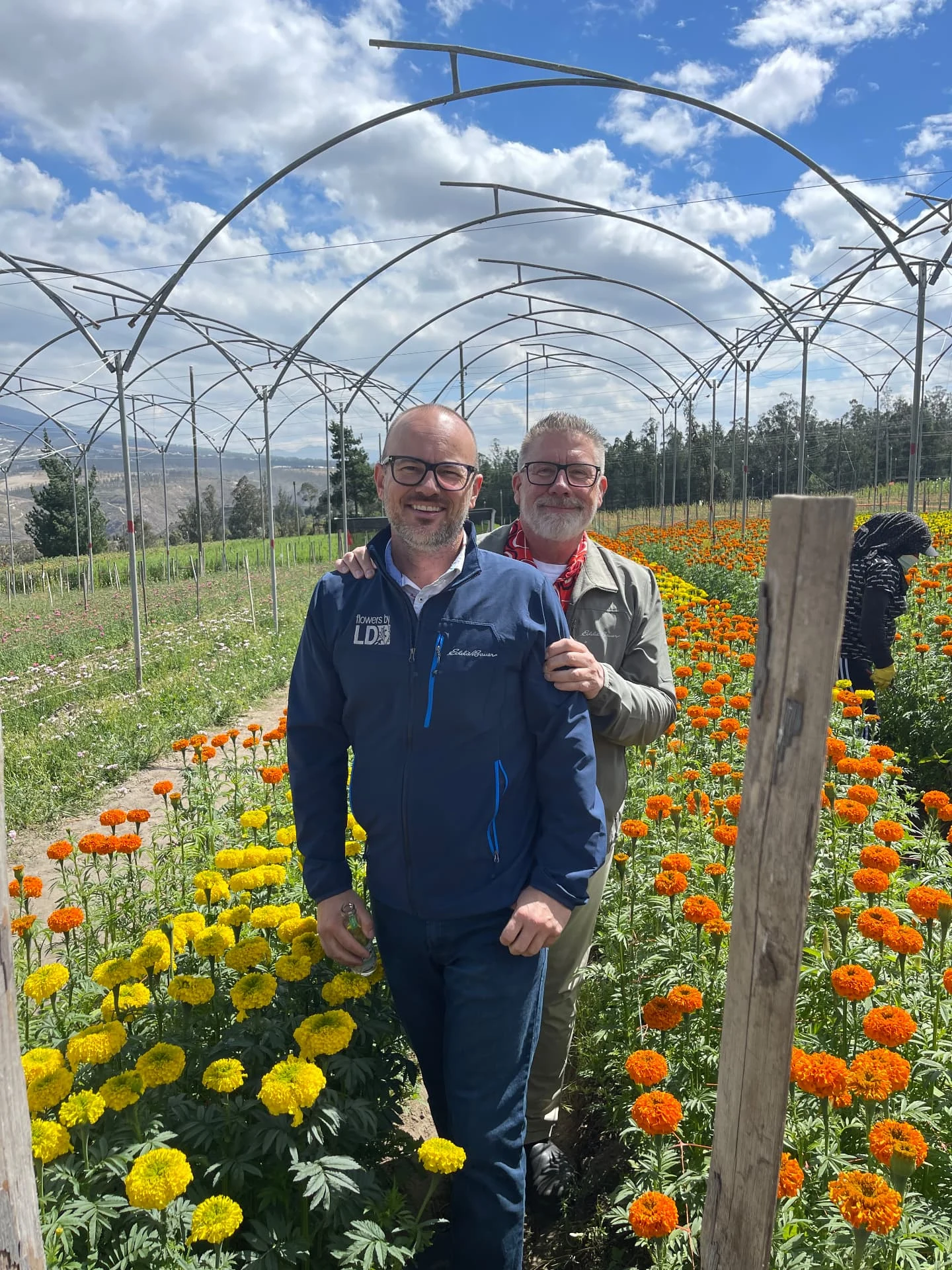 Two Flowers by LD visitors standing among orange and yellow flowers beneath greenhouse hoops